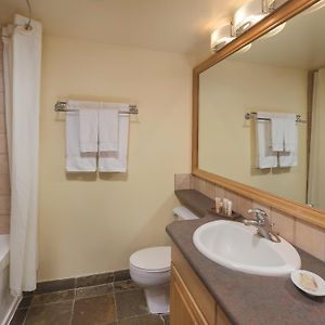Studio Suite